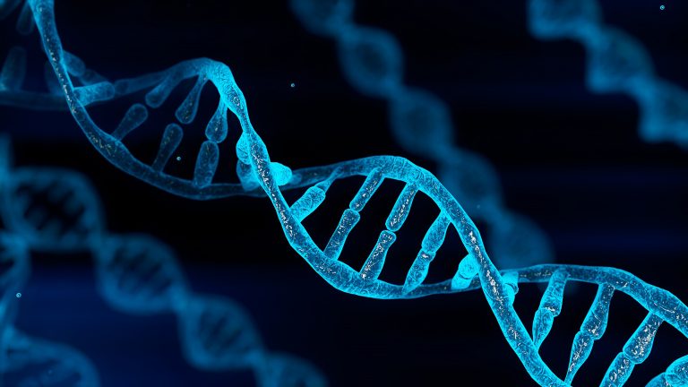 Patologia-e-genetica